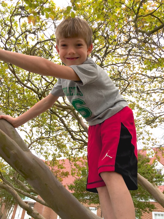 Is that a monkey in a tree? You bet!